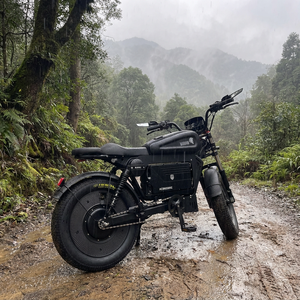 Bicicleta Eléctrica Negra de 3000W, Diseñada para una Conducción Potente, Enviada desde EE. UU. Almacén con Entrega Rápida - Bicicleta Eléctrica de 3000W SS10 Original Ma - Product Image 2