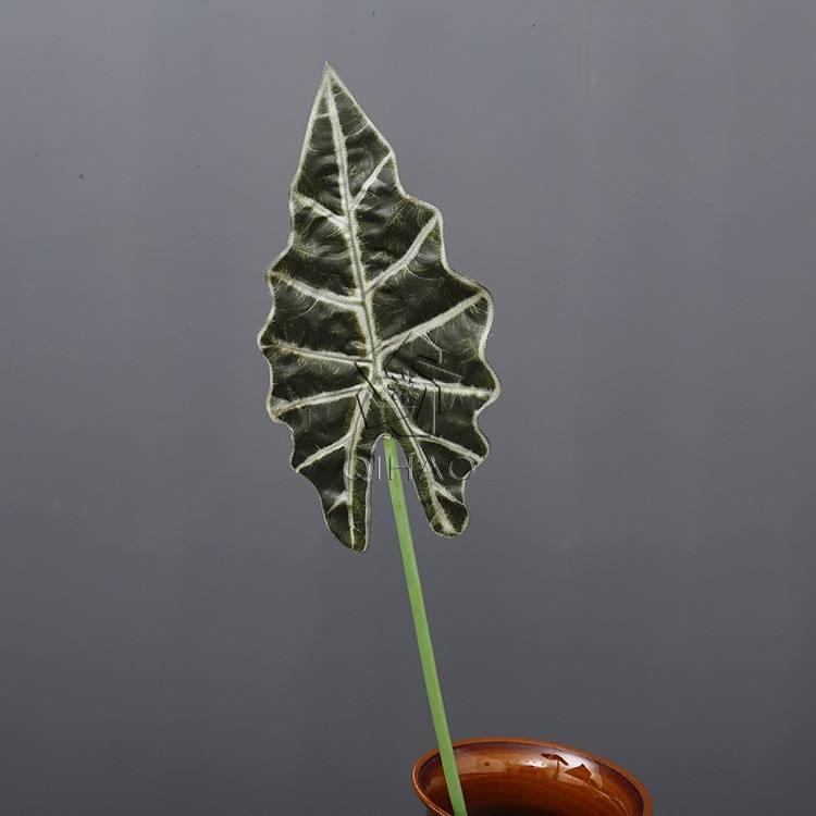 เขียว-ใหญ่