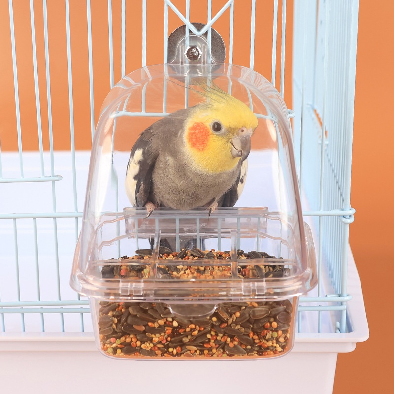 bird feeder edar plastic