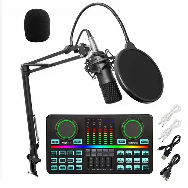 Pro Studio Audio Interface De D9 with BM700 XLR Condenser Microphone Set