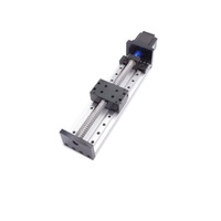 Table coulissante silencieuse Module en alliage d'aluminium Double voie haute température BGX80 Plate-forme de levage linéaire à vis à billes Raccords XYZ