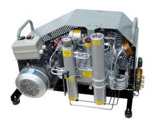 Good Price High Pressure Air Compressor Machine Breathing 5.5kw Scuba Breathe Air Compressor
