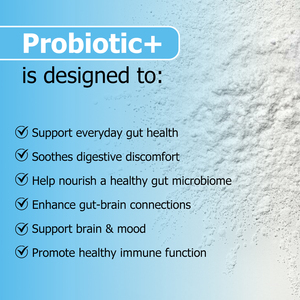 Poudre Probiotique Optimisée pour la Digestion Bacillus Coagulans Équilibre de l'axe cérébral-intestinal Soutien Digestif Quotidien Poudre Probiotique - Product Image 3