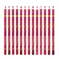 Crayon à lèvres de haute qualité, 13 couleurs, rétractable, imperméable, crème chimique, logo personnalisé, haute pigmentation naturelle