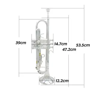 Trompeta Profesional en Si Bemol para Principiantes, Detalles para <span class=keywords><strong>Instrumentos</strong></span> <span class=keywords><strong>Musicales</strong></span> <span class=keywords><strong>de</strong></span> <span class=keywords><strong>Banda</strong></span>, <span class=keywords><strong>Instrumentos</strong></span> <span class=keywords><strong>de</strong></span> Viento <span class=keywords><strong>de</strong></span> Latón - Product Image 4