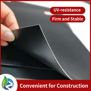 Bán trực tiếp nhà sản xuất mật độ cao polyethylene màng đất Pond Liner UV cá trang trại Cá Ao bãi rác <span class=keywords><strong>LDPE</strong></span> HDPE PP - Product Image 2