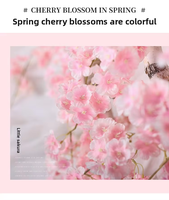 Ventes en gros de guirlandes de fleurs de cerisier artificielles en provenance d'usine, pour enrouler les tuyaux de climatisation, décorations de plafond intérieures