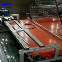 Cage à poulet en acier inoxydable 200 pour les poules et les bébés poussins, caisse en bois, produit chaud fourni, poulailler à 20 poules pondeuses