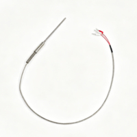 Sonde de température blindée PT100 en platine haute précision, anti-brûlure, avec câble blindé, personnalisable OEM/ODM, IP20