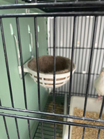 Nid de perroquet Kangdarpet pour plusieurs oiseaux, cage de reproduction durable, nid de perroquet