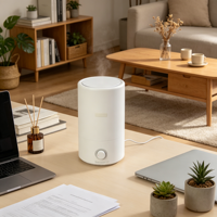 Nouvel humidificateur multifonctionnel 4L, purificateur d'air antibactérien, diffuseur de brume aromathérapeutique, pour la maison et l'hôtel