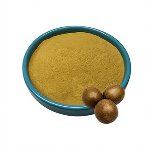 Extrait de Fruit du Moine de Qualité Alimentaire FocusHerb 10:1, Poudre Jaune Brun, Extrait Végétal - Product Image 1