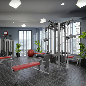 Estación Multifuncional de Gimnasio en Casa Unisex con 4 Máquinas de Selección de Pesas, Equipo Comercial de Entrenamiento de Fuerza para Ejercicio - Product Image 6