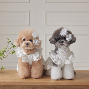 Roupas de Algodão para Cães e Gatos Primavera Verão, Saia de Renda, Vestido de Princesa para <span class=keywords><strong>Maltese</strong></span>, Chihuahua e Cães Pequenos, Atacado - Product Image 2