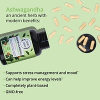 Cápsulas de Extracto de Fruta de Pimienta Negra Halal de Marca Privada de Alta Calidad, Cápsulas de Raíz de Ashwagandha, Refuerzo Inmunológico, Mejora Masculina, 90 Unidades