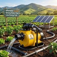 Pompe à eau solaire submersible sans balais à basse pression en acier inoxydable 48/60V DC JIABO pour puits profond, logo personnalisé