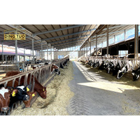 Estructura de Acero Prefabricada de Gran Resistencia, Almacén de Gran Envergadura, Taller, Hangar, Granja Industrial Agrícola, Establos para Vacas, Gallineros