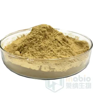 LYNA Supply High quality Factory price Soy isoflavone CatheRine Genistein