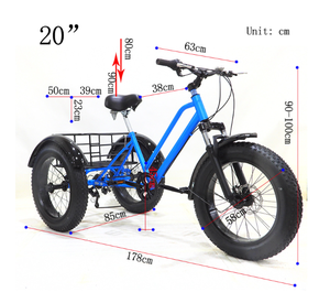 Triciclo Luffia Spot con Llantas Gruesas de 20 Pulgadas, Horquilla de Acero con Frenos de Disco, para Nieve - Product Image 6