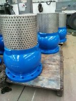 Valve de pied en fonte ductile DN65 PN16 avec écran en acier inoxydable