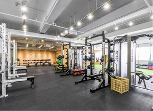 Tapis de gym de qualité supérieure Mega |   Tapis en caoutchouc vulcanisé et tapis de sol utilitaires - Product Image 4