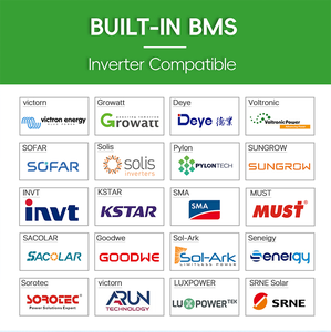 Disponibilità EU: Sistema di accumulo energetico da 16 kWh 51.2V 314Ah con bilanciatore attivo integrato da 5A + estintore + BMS da 200A - Product Image 4