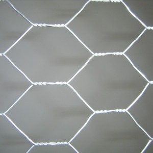 Clôture de sécurité flexible de petit pain <span class=keywords><strong>hexagonal</strong></span> galvanisé résistant de grillage pour la fabrication hexagonale de fil de poulet de jardin - Product Image 6