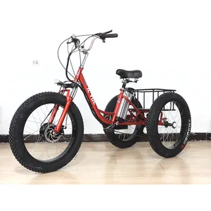 Wettbewerbs fähiger Preis Dreirad Cargo Bike Elektro Dreirad für die Lieferung