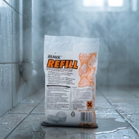 Sachet de recharge déshydratant écologique au chlorure de calcium de 450g avec boîte déshumidificatrice pour la maison, élimination de la moisissure et anti-humidité