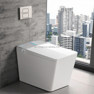 Đô Thị Căn Hộ Siêu Xoắn Ốc Xả Nhà Vệ Sinh Điện Tích Hợp Nhà Vệ Sinh Thông Minh Điều Khiển Từ Xa Tính Năng Cho Khách Sạn Nam Mỹ - Product Image 3