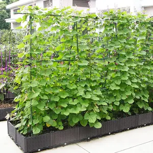 Metal Portable Folding Garden A-Frame Squash and Cucumber vegetables Trellis