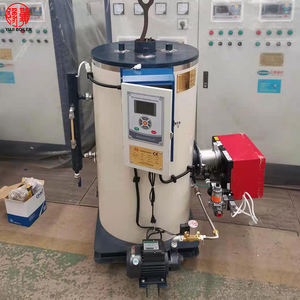 50 Kg/u Biogas Gebaseerde Mini Stoomgenerator <span class=keywords><strong>Gas</strong></span> Douches Stoomgeneratoren Voor Wasserij - Product Image 4