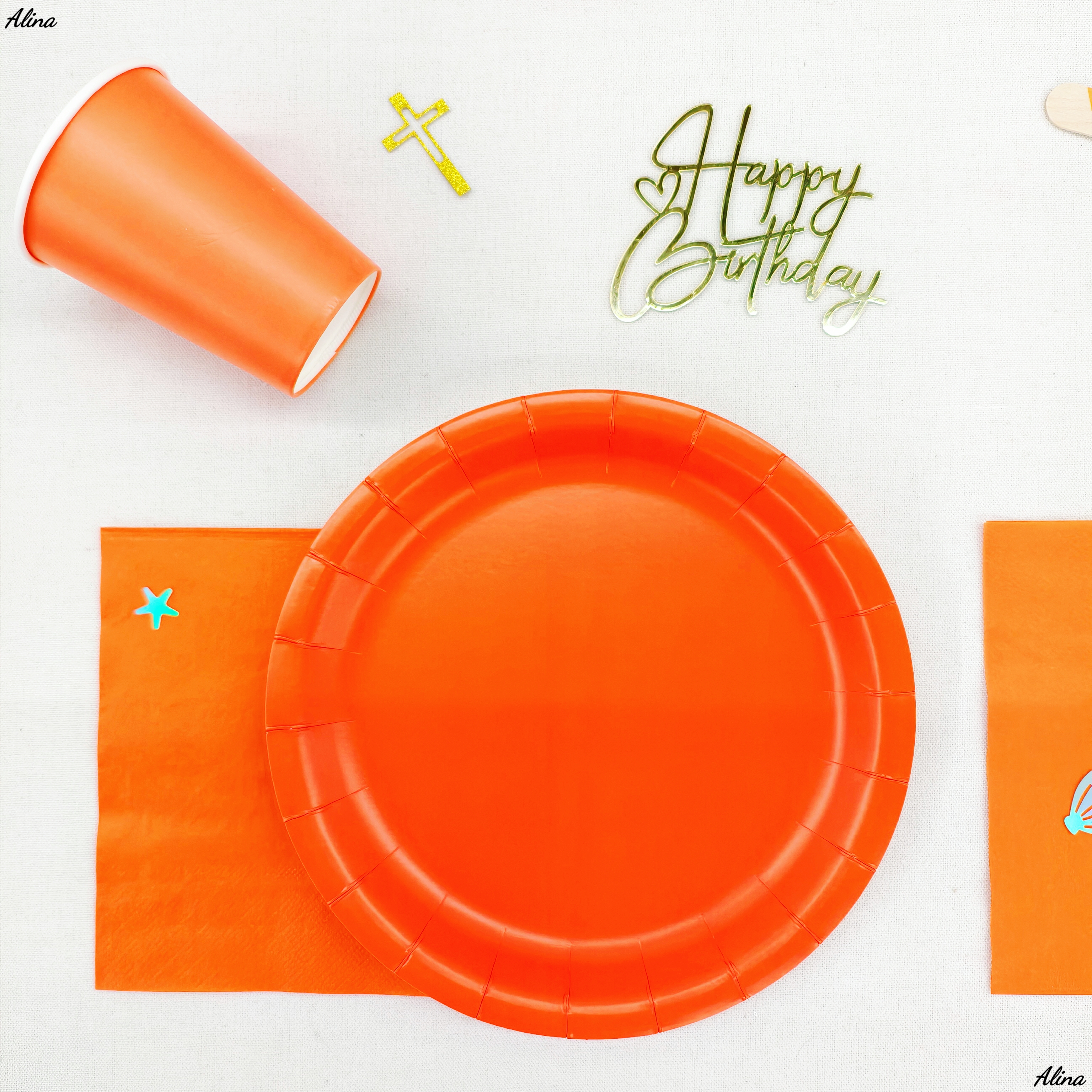 ORANGE  9inch plate*10pcs