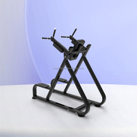 Tour de musculation multifonctionnelle en acier de qualité commerciale pour dips et soulevés de jambes, équipement de fitness renforcé OEM pour la gym