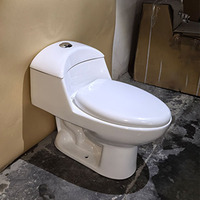 WC monobloc en céramique à siphon, sanitaires de qualité à prix avantageux pour hôtel et maison