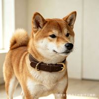 Collier pour chien en cuir véritable fait main, en cuir de vachette pleine fleur, cousu, pour petits et moyens chiens, vente en gros, directement de l'usine