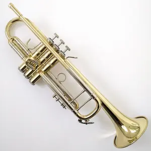 Bb ton özel logo ve çan trompet profesyonel