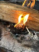 Allume-feu en bois de charbon de bois Fzmatch Fatwood écologique, imperméable, portable, pour barbecue, fumoir, facile à utiliser, pour le camping en plein air