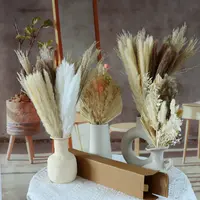Kostenlose Probe Amazon Bouquet 60 Stück Pampas Gras Schachtel halm Hasen schwanz Gras dekorative Blumen sträuße