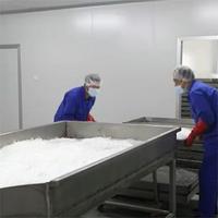 L-Menthol, Menthol Naturel en Cristaux Glacés pour les Pastilles de Douche - Extrait de Menthe Arvensis 100% Pur |   Cas 2216-51-5