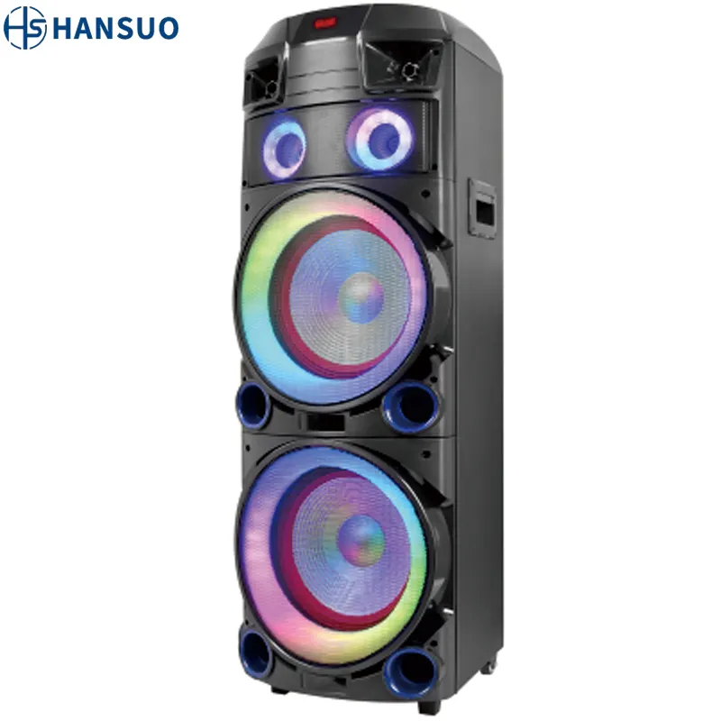 Hansuo 12 Inch Waterdichte Outdoor Populaire Pro Subwoofer 100W Dj Karaoke Draadloze Trolley Partybox Speaker HS-TD12H9