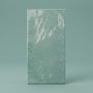 Piastrella Camden Emerald 12x24 Pollici Rettangolare con Finitura Opaca per Pareti e Pavimenti - Product Image 1