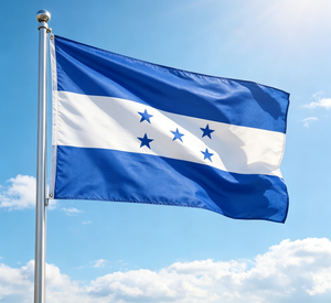 <span class=keywords><strong>Bandera</strong></span> <span class=keywords><strong>de</strong></span> <span class=keywords><strong>Honduras</strong></span> 3x5 pies, colores vivos, resistente a <span class=keywords><strong>la</strong></span> decoloración, alta calidad, ecológica, logotipo personalizado, ojales <span class=keywords><strong>de</strong></span> latón personalizados, precio bajo al por mayor - Product Image 1