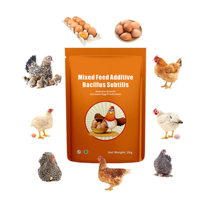 <span class=keywords><strong>Acheter</strong></span> Prémélange d'additifs alimentaires pour volailles de croissance, enrichi en vitamines pour <span class=keywords><strong>poules</strong></span> <span class=keywords><strong>pondeuses</strong></span>, pour l'augmentation de la production d'œufs et la santé <span class=keywords><strong>des</strong></span> poussins - Product Image 3