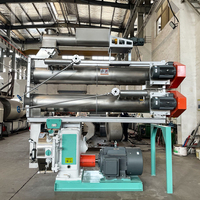 Rongda 8 t/h Machine de fabrication de granulés pour animaux Granulateur Machine de fabrication de granulés pour litière de chat Moulin à granulés avec CE