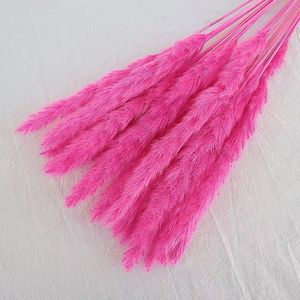 Offre Spéciale : 15 Pampas Naturelles Moelleuses de 60 cm pour Décoration de Mariage - Product Image 3