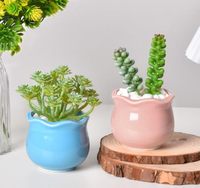 Set Pot Sukulen Keramik Mini 6 Buah, Pot Kaktus Lucu untuk Meja Dalam Ruangan dan Balkon, Dekorasi Rumah Porselen Kreatif, Obral Kilat