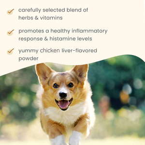 Meilleures ventes Fabricant professionnel efficace 11 en 1 Multi-vitamines à mâcher quotidiennement <span class=keywords><strong>pour</strong></span> animaux <span class=keywords><strong>de</strong></span> compagnie Soutien immunitaire - Product Image 5