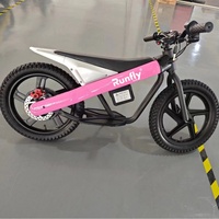 Trottinette Électrique Enfants 300 W, Batterie Haute Qualité, Jouet à Roulettes pour Enfants