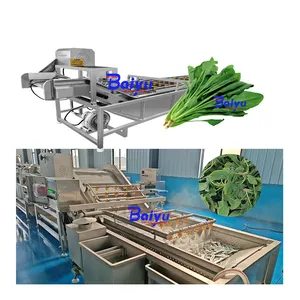 Baiyu Industrial Fruit & Vegetable Washing Machine Spinach Ozone Bubble Fruit Washer Cleaner for Leafy Greens and Fruits